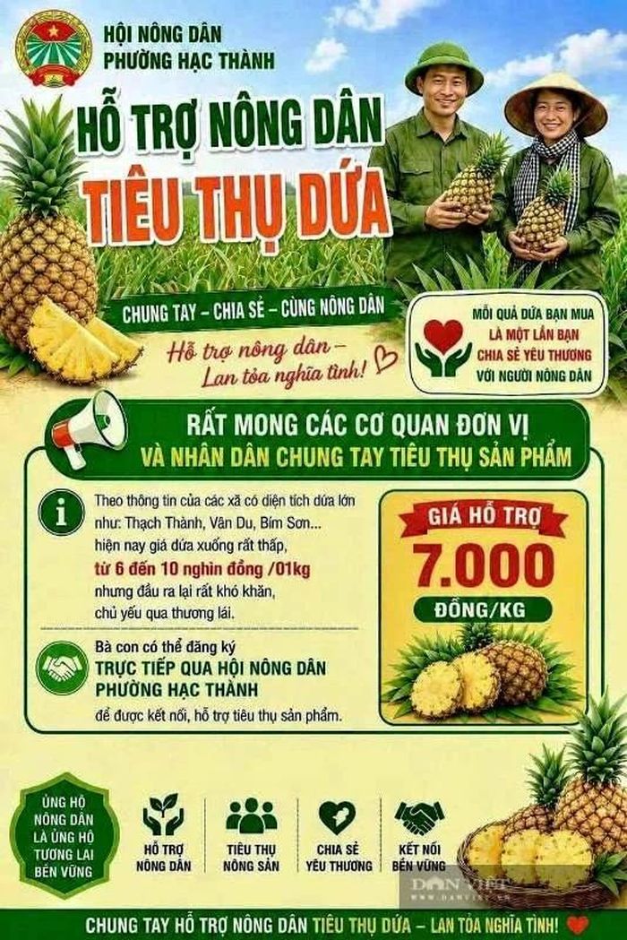 Pano quảng bá hỗ trợ nông dân tiêu thụ dứa của Hội nông dân phường Hạc Thành.