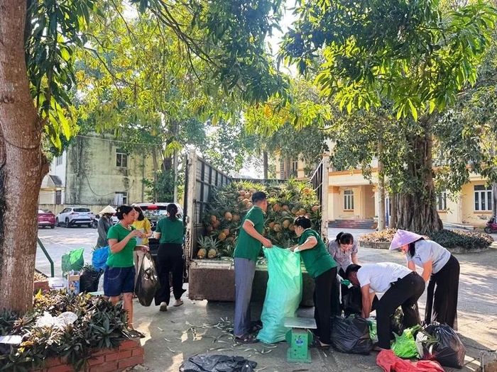 Hội nông dân các xã, phường tích cực đưa dứa về các điểm bán tiêu thụ cho nông dân.