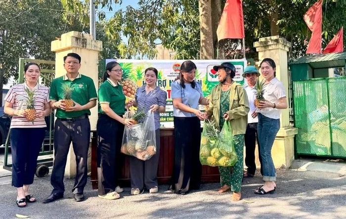 Hội nông dân phường Quảng Phú hỗ trợ nông dân tiêu thụ dứa.