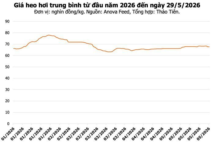 Xã Trung Thịnh (Tuyên Quang) quyết liệt triển khai các biện pháp phòng, chống dịch tả heo châu Phi