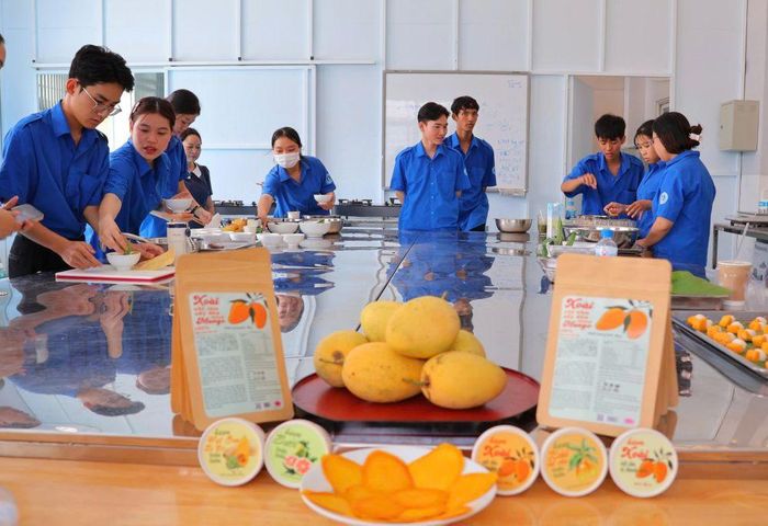 Từ một loại nông sản bản địa, xoài đang đứng trước cơ hội trở thành trung tâm kết nối cho nhiều giá trị kinh tế mới. Ảnh: MỸ LÝ.