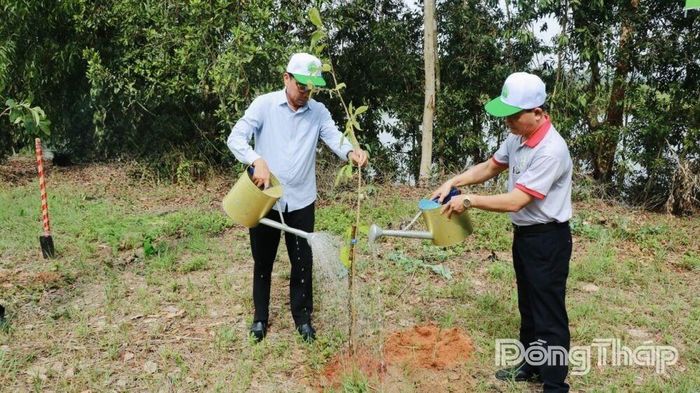 Các đại biểu tham gia trồng cây xanh.