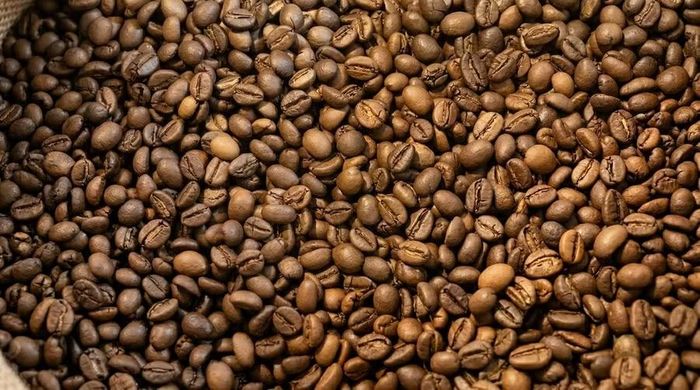Giá cà phê trong nước ngày 29-5 tiếp tục mất thêm 800 đồng/kg. Ảnh: M.T