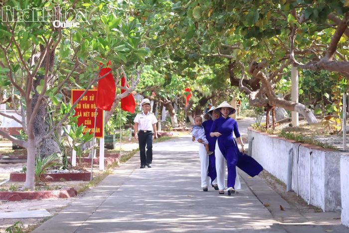 Trên đảo Song Tử Tây, những hàng bàng vuông tỏa bóng xanh mát dọc các con đường.