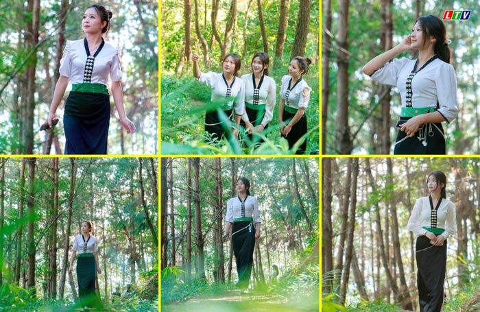 Đường đến Thác Tác Tình là đồi thông thơ mộng.