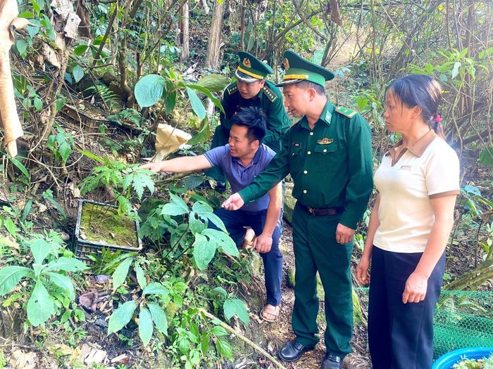 Cán bộ Đồn Biên phòng Dào San hướng dẫn nhân dân bản Sểnh Sảng A kỹ thuật chăm sóc cây dược liệu.