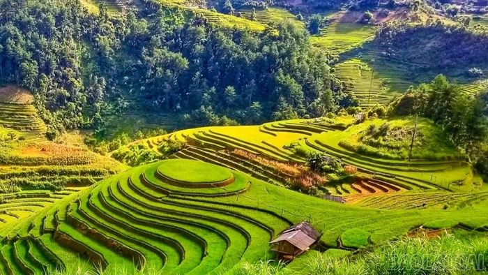 Đồng chí Phó Chủ tịch UBND tỉnh Vũ Thị Hiền Hạnh đã chia sẻ về tiềm năng, thế mạnh phát triển du lịch của tỉnh Lào Cai với những điểm đến nổi bật.