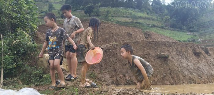 Ruộng bậc thang cũng là nơi vui chơi của các cháu.