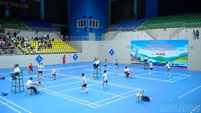 Các trận đấu diễn ra kịch tính, sôi nổi.