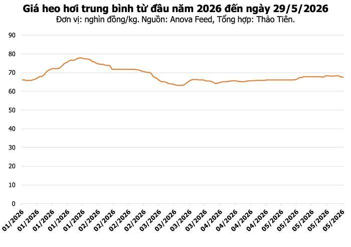 Giá heo hơi hôm nay tại miền Nam. (Tổng hợp: Thảo Tiên)