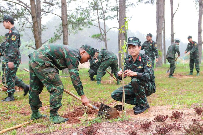Cán bộ, chiến sĩ Trung đoàn Bộ binh 994B trồng cây xanh mừng sinh nhật Bác