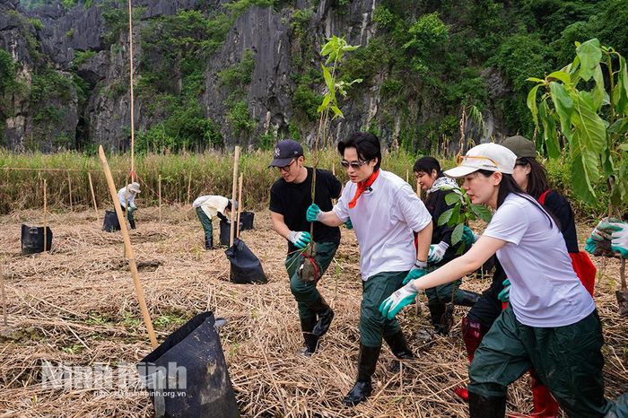 Ca sĩ Hà Anh Tuấn cùng người hâm mộ trồng cây tại Khu Bảo tồn thiên nhiên đất ngập nước Vân Long.