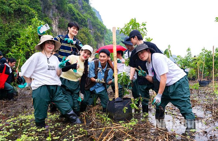 Ca sĩ Nguyễn Hùng cùng người hâm mộ trồng cây tại Khu Bảo tồn thiên nhiên đất ngập nước Vân Long.