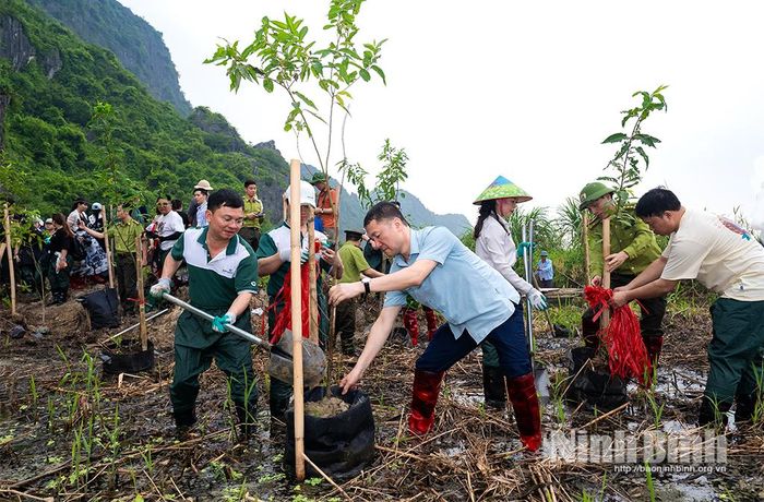 Các đại biểu tham gia Chương trình trồng rừng “Forestival” - Rừng Việt Nam tại Khu Bảo tồn thiên nhiên đất ngập nước Vân Long.