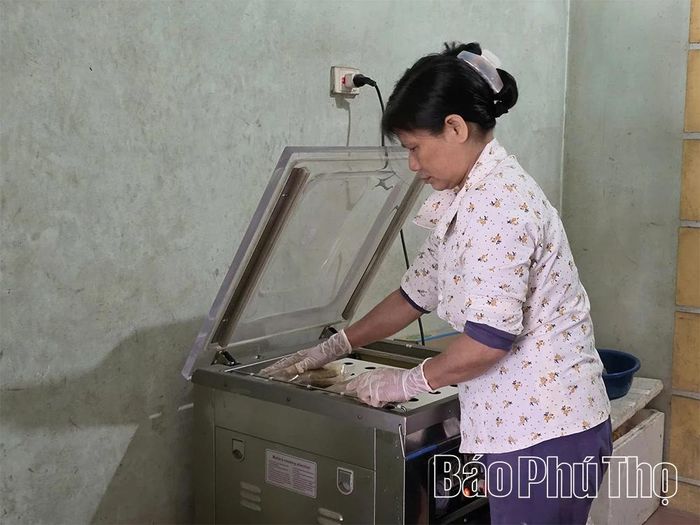 Các hộ làm nghề ở Tiên Lữ chủ động cải tiến quy trình chế biến, chú trọng nhãn mác, bao bì, từ đó quảng bá thương hiệu cá thính Tiên Lữ.