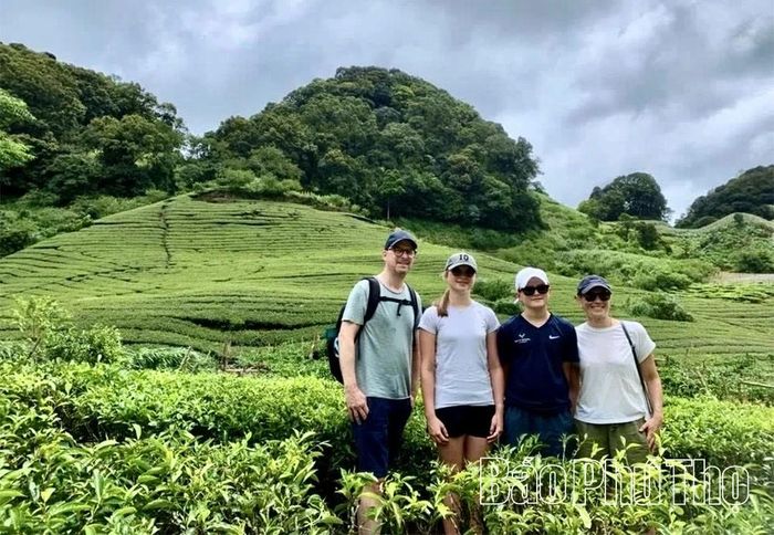 Cảnh quan sinh thái đồi chè vùng cao xã Pà Cò là điều kiện thuận lợi hình thành điểm đến du lịch xanh.