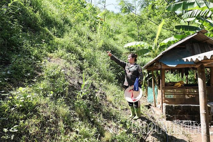 Nằm ngay dưới cung sạt lở ở vị trí nguy hiểm nhất, gia đình chị Bùi Thị Diến luôn sống trong tâm trạng thấp thỏm, lo lắng, bất an.