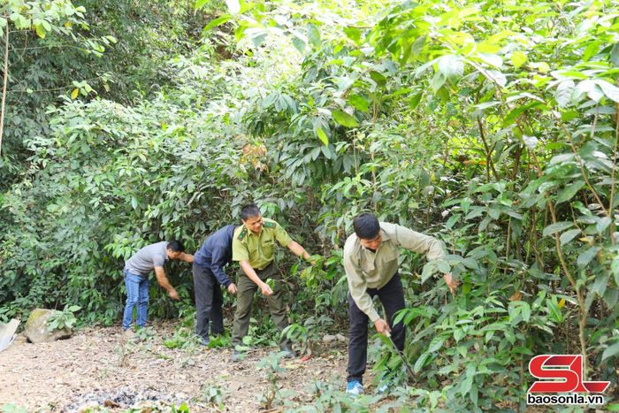 Lực lượng kiểm lâm địa bàn và tổ bảo vệ rừng bản Bước, xã Pắc Ngà tuần tra bảo vệ rừng.
