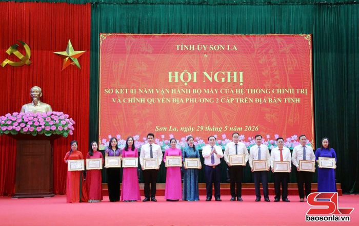 Đồng chí Phó Bí thư Tỉnh ủy tặng Bằng khen cho các đảng viên.
