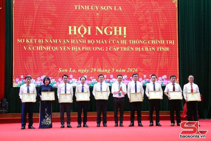 Đồng chí Chủ tịch UBND tỉnh tặng Bằng khen cho các cá nhân.