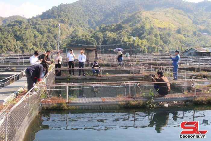 Mô hình nuôi cá lồng kết hợp du lịch, dịch vụ của Công ty TNHH Đầu tư và Phát triển du lịch Quỳnh Nhai.