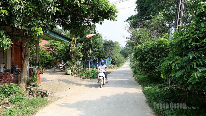Đường giao thông nông thôn xã Tri Phú được đầu tư giúp người dân đi lại thuận lợi.