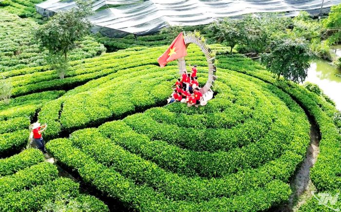 Farmstay đồi chè mang đến trải nghiệm nghỉ dưỡng giữa không gian xanh mát, nơi du khách hòa mình vào thiên nhiên và khám phá đời sống, văn hóa vùng chè.