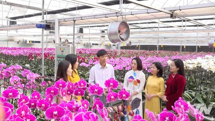 Với định hướng phát triển kinh tế xanh dựa trên nông nghiệp sinh thái và du lịch bền vững, tỉnh Thái Nguyên tập trung khai thác hiệu quả những tiềm năng tự nhiên, văn hóa trà và du lịch trải nghiệm.