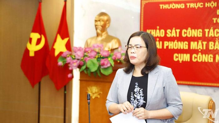 Đồng chí Phó Chủ tịch HĐND tỉnh Trần Thị Lộc kết luận buổi làm việc.