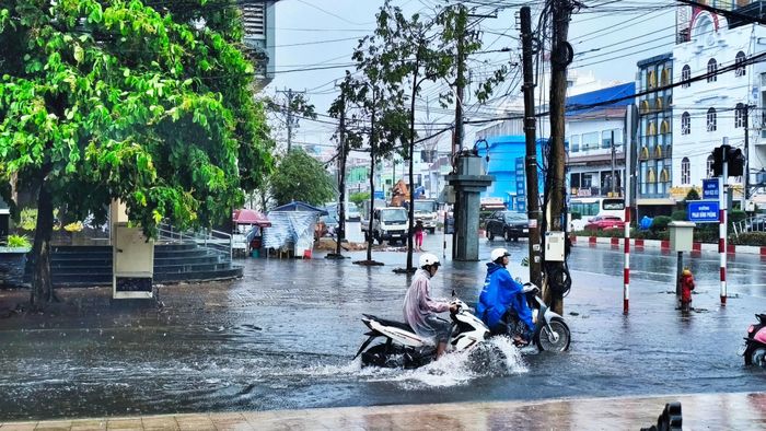 Mưa lớn kèm triều cường dâng cao hôm 24/5, gây ngập sâu cục bộ một số tuyến đường khu vực trung tâm tỉnh Cà Mau.