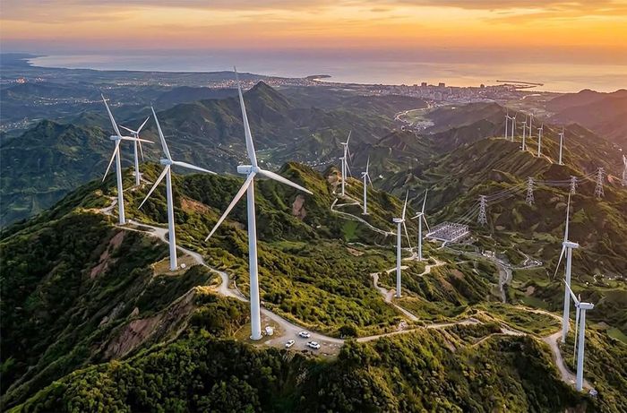 Tỉnh Quảng Ninh đang triển khai GPMB Dự án Nhà máy điện gió Quảng Ninh 1.