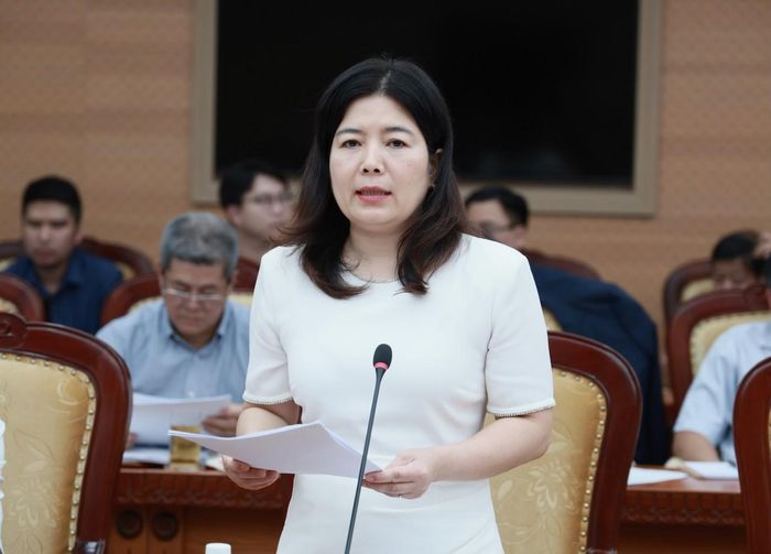 Bà Bùi Thị Thu Thủy - Vụ trưởng Vụ Kinh tế địa phương và lãnh thổ trình bày báo cáo tại hội nghị. Ảnh: Mạnh Tuấn.