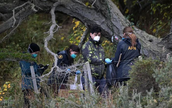 Đầu tháng này, các nhà khoa học đã bắt những con chuột ở Ushuaia, Argentina, để xác định xem virus hantavirus đã lây lan đến khu vực này hay chưa. Ảnh: AFP / Getty Images