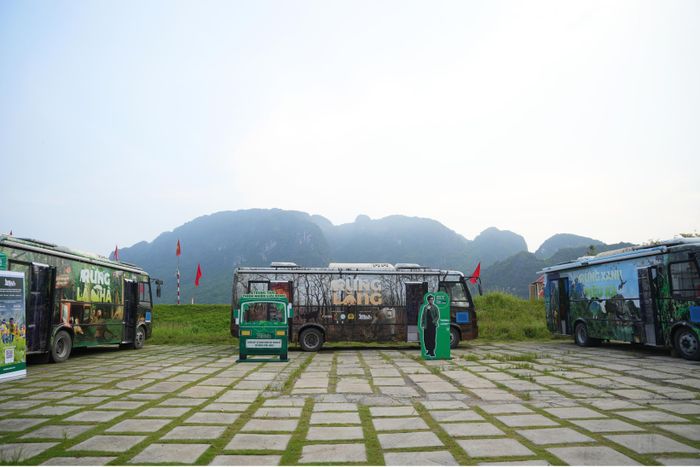 3 xe buýt triển lãm tương tác tạo nên “Trung tâm Thiên nhiên lưu động” - mô hình giáo dục bảo tồn thiên nhiên lưu động đầu tiên tại Việt Nam. Ảnh: BTC