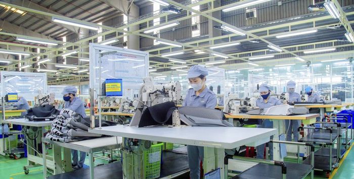 Doanh nghiệp trong nước đang đối mặt nhiều sức ép từ thị trường quốc tế..