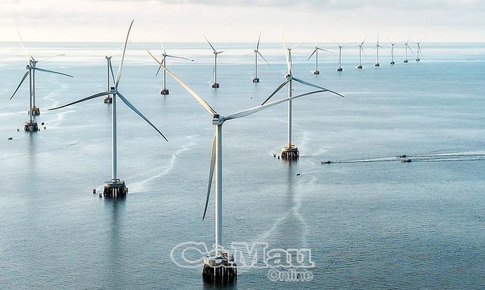  Cà Mau còn nhiều tiềm năng, dư địa phát triển điện gió, tuy nhiên việc khai thác vẫn chưa tương xứng do còn gặp nhiều khó khăn, vướng mắc.