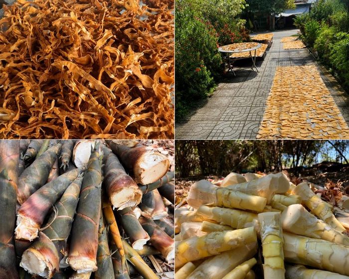 Các sản phẩm từ măng tứ quý đang rất được ưa chuộng
