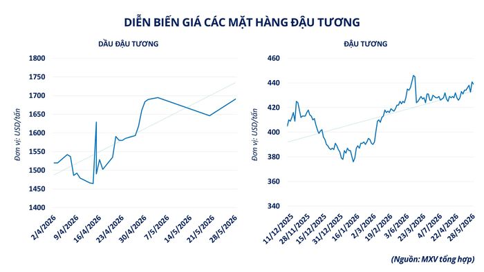 Diễn biến giá các mặt hàng đậu tương. Nguồn: MXV