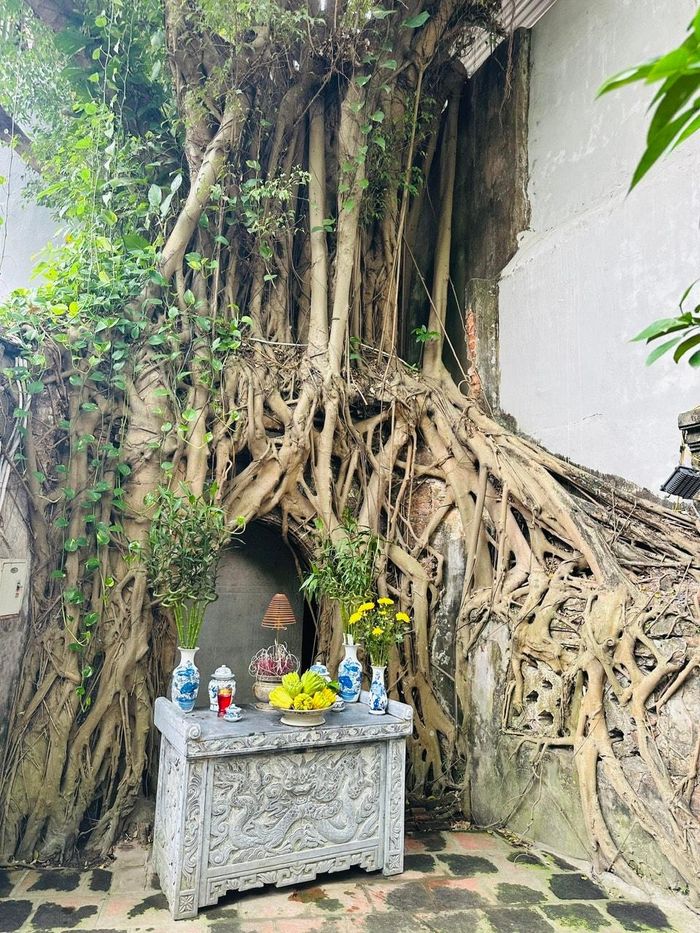 Một trong những hiện vật quý giá nhất tại di tích là tấm bia đá lớn “Cao Sơn Đại Vương thần từ bi minh tịnh tự” do sử thần Lê Tung soạn năm 1510. Ảnh: Hoàng Quyên
