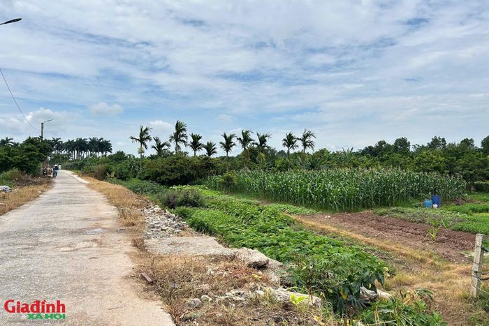 Nhiều diện tích đất tại phường Yên Nghĩa dù có sổ đỏ nhưng do vướng quy hoạch hành lang thoát lũ nên không được phép sửa chữa, xây dựng công trình.