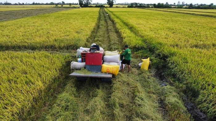 Tài nguyên bản địa chế biến sâu giúp ĐBSCL chuyển mình. Ảnh: Trung Chánh