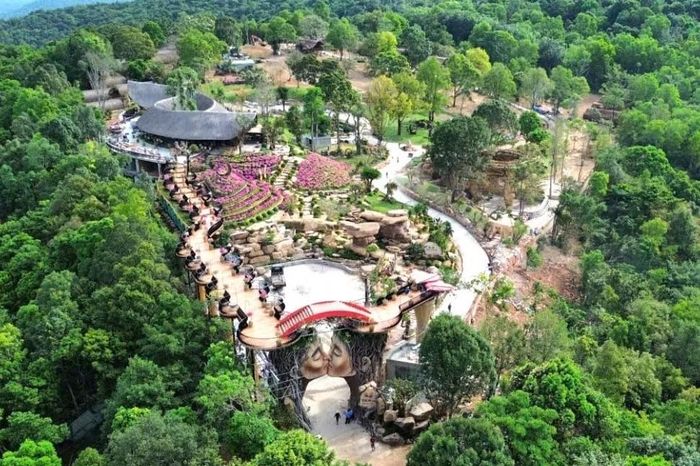  Toàn cảnh vườn hoa The Peak. 