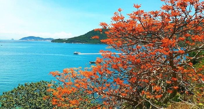 Việc phân vùng chức năng Khu DTSQ được xác định trên cơ sở kết hợp giữa tiêu chí của Chương trình Con người và Sinh quyển (MAB/UNESCO) và quy định của pháp luật Việt Nam, bao gồm Luật Bảo vệ môi trường, Luật Đa dạng sinh học và Luật Di sản văn hóa