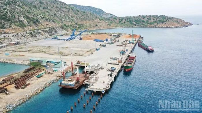 Cảng số 1B được xây dựng để mở rộng phạm vi hoạt động sang một số lĩnh vực mới, đóng vai trò là đơn vị thương mại thực hiện mua bán nhiên liệu, tận dụng lợi thế về hệ thống kho bãi, hạ tầng cảng và mạng lưới khách hàng hiện có.