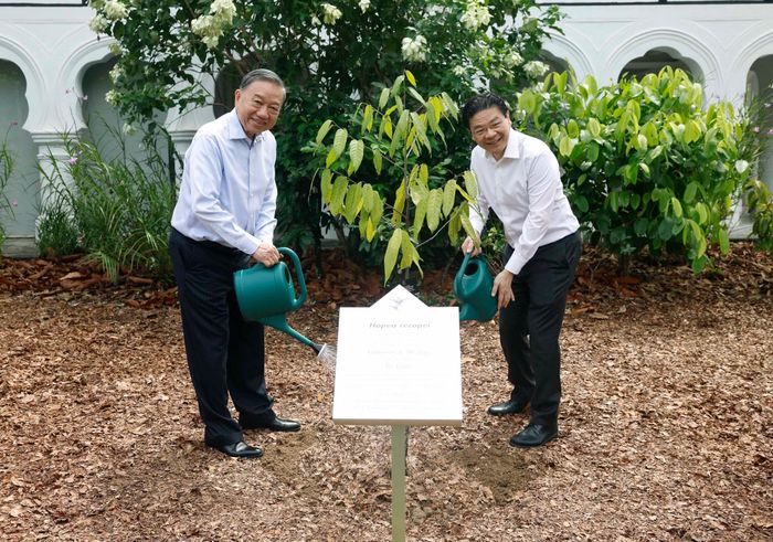 Tổng Bí thư, Chủ tịch nước Tô Lâm và Thủ tướng Singapore Lawrence Wong trồng cây lưu niệm. (Ảnh: TTXVN)