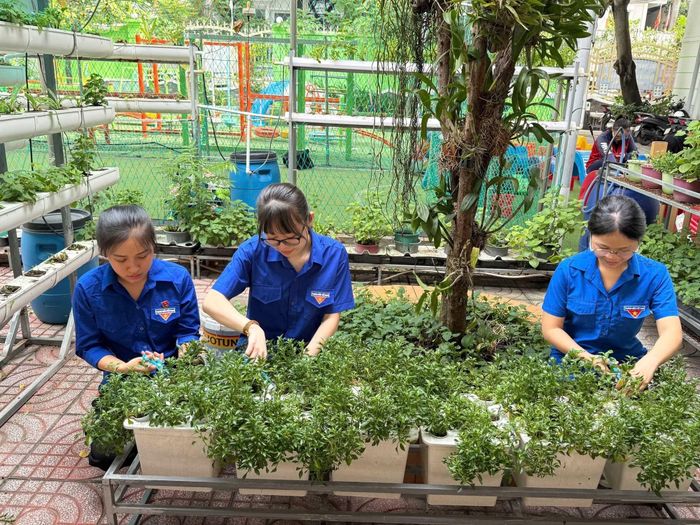 Các đoàn viên, thanh niên tham gia trồng cây xanh tại trường học.