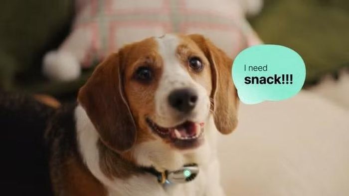 Dù còn gây tranh cãi, sự xuất hiện của thiết bị AI dịch tiếng chó mèo vẫn cho thấy tham vọng ngày càng lớn của các công ty công nghệ trong việc đưa trí tuệ nhân tạo tiến sâu hơn vào đời sống thường nhật, đồng thời phản ánh xu hướng kết hợp AI với lĩnh vực chăm sóc thú cưng đang bùng nổ mạnh mẽ trên toàn cầu trong năm 2026.