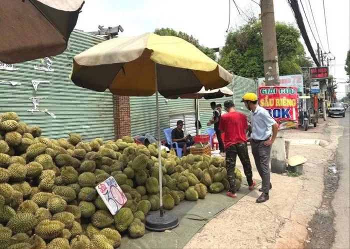 Nhiều khách hàng phân vân với chất lượng sầu riêng giá vài chục nghìn.