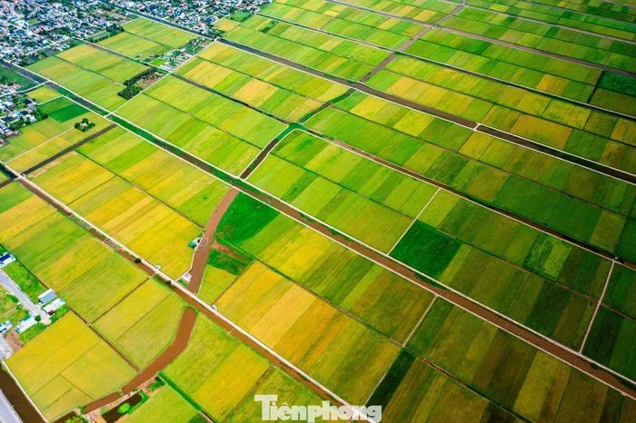 Tuyến đường ven biển mới không chỉ giúp việc đi lại thuận tiện hơn mà còn mở ra góc nhìn thoáng rộng về vùng quê Đồng Châu.