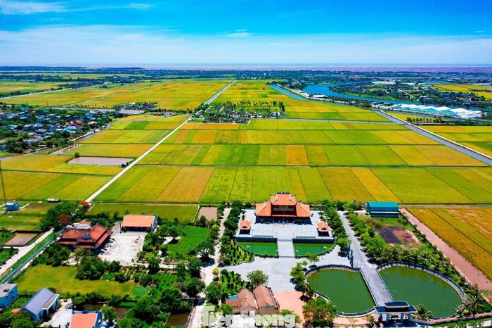 Người dân địa phương cho biết năm nay thời tiết thuận lợi nên lúa phát triển đều, năng suất khá hơn so với vụ trước. Những ngày này, nhiều gia đình tranh thủ thu hoạch sớm trước khi có mưa lớn đầu mùa.